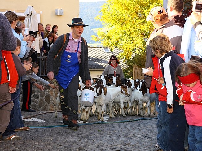 Almabtrieb in Lajen